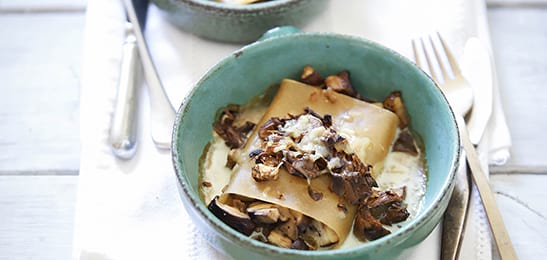 cannelloni maken van lasagnebladen