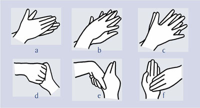 pictogram schema hoe handen te wassen