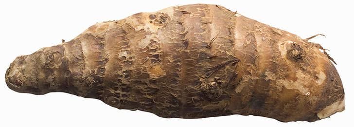 In cassave zitten cyanogene glycosiden