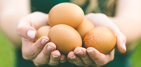 Het eten van 2-3 eieren per week past in een gezonde voeding. Vegetariërs kunnen 3-4 eieren per week eten.